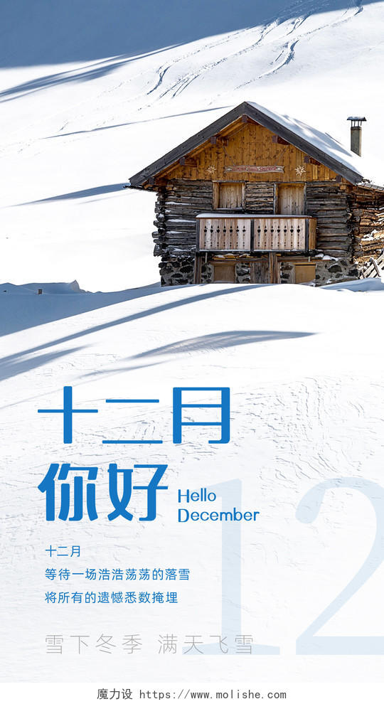 冷色实景蔚美十二月白雪手机海报十二月你好